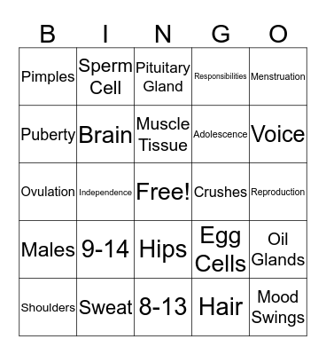 Puberty Bingo Card