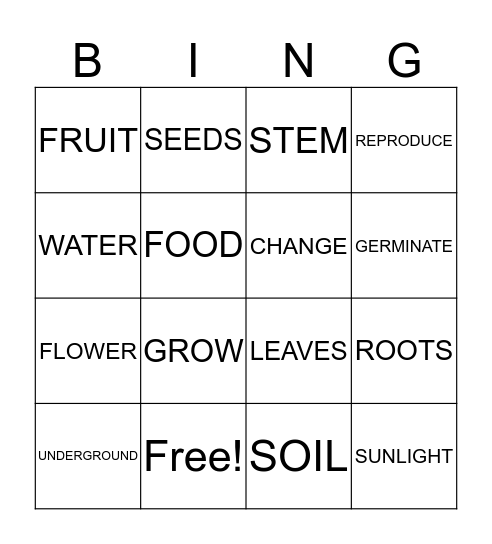 ALL ABOUT PLANTS Bingo Card