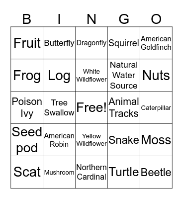 Hiking Bingo  Bingo Card