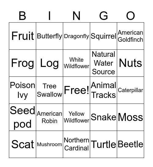Hiking Bingo  Bingo Card