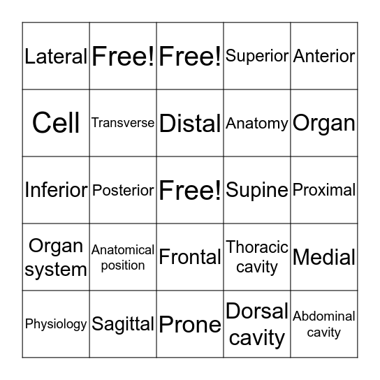 Final Review 2 Bingo Card