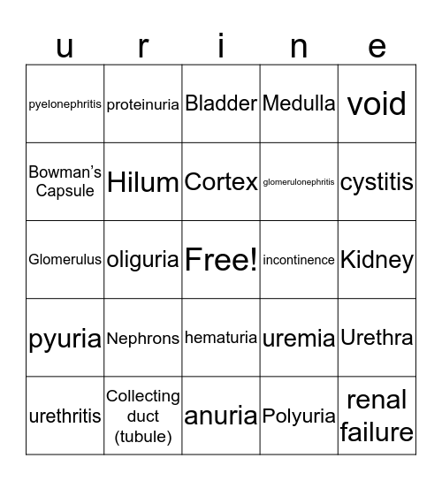 Urinary Bingo  Bingo Card