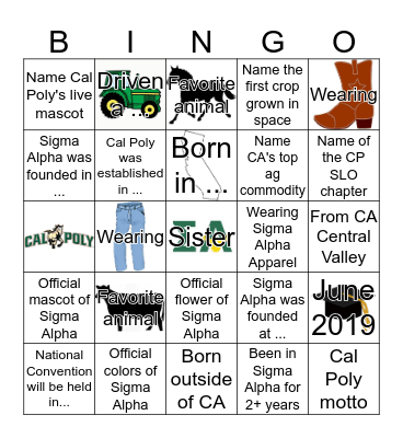 Sigma Alpha Bingo Card