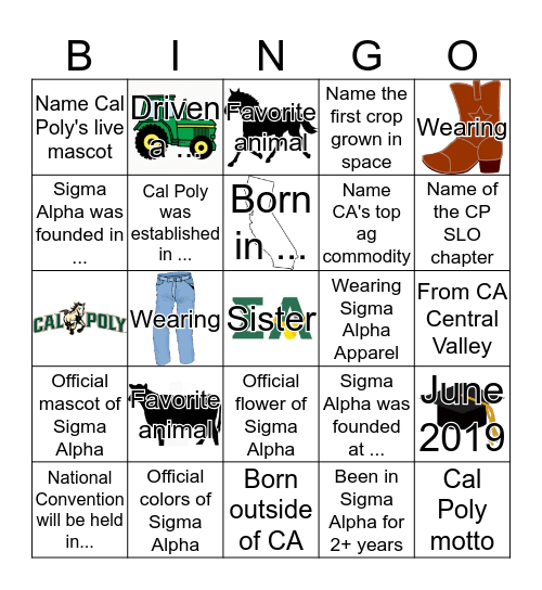 Sigma Alpha Bingo Card