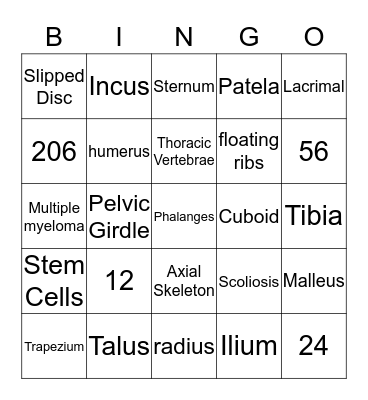 The Skeletal System Bingo Card