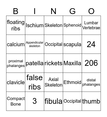 The Skeletal System Bingo Card