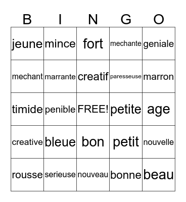 French I Adjectives Bingo Card