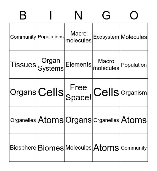 Levels of Organization Bingo Card