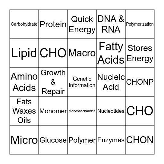 Macromolecules  Bingo Card