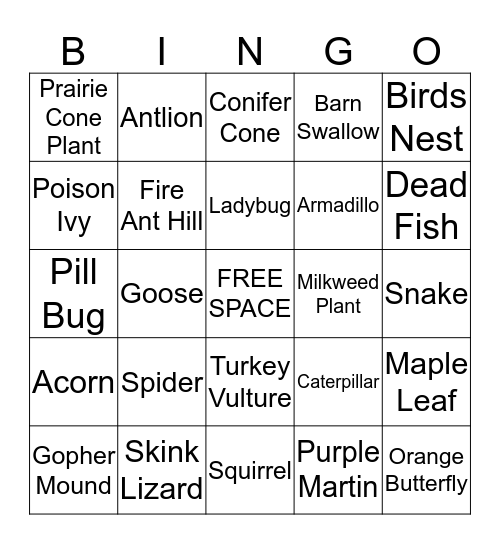 UOBS Ecological Bingo Card