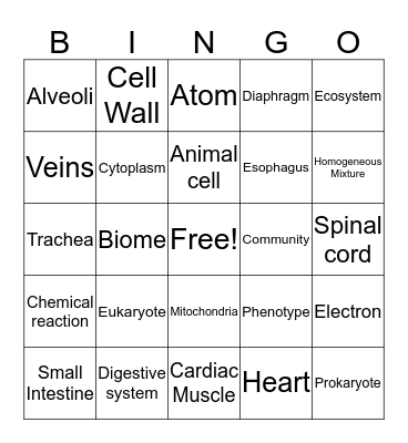 Science Bingo Card