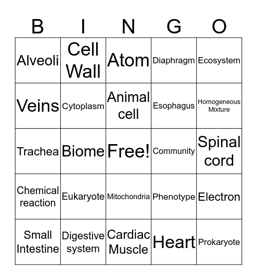 Science Bingo Card