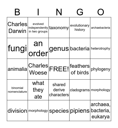 Classification Bingo Card