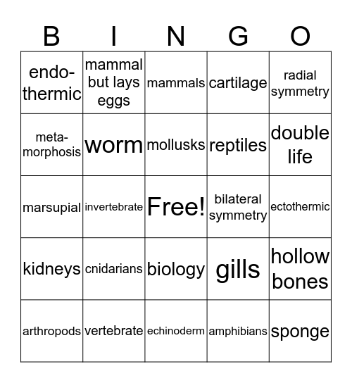 Bio- Time! Bingo Card
