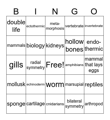 Bio-Time! Bingo Card