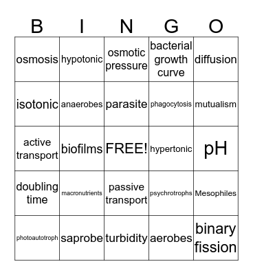 Microbial Nutrition and Growth Bingo Card