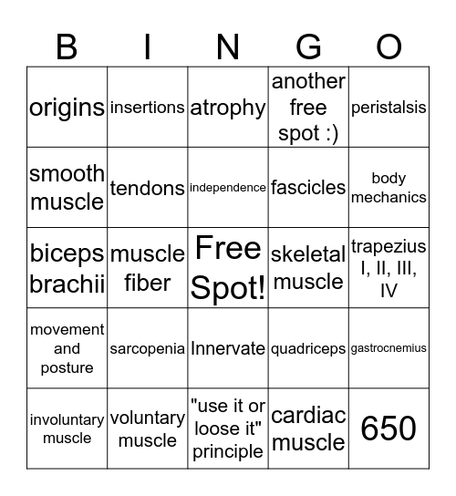 The Muscular System Bingo Card