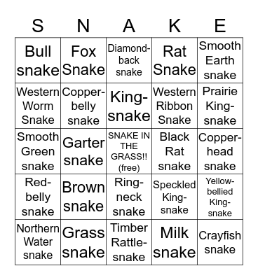 Snake Bingo Card