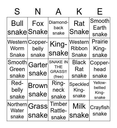 Snake Bingo Card