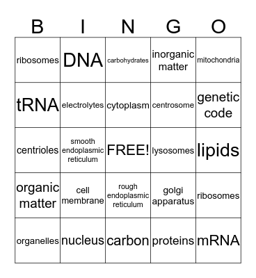 Cell Biology Bingo Card