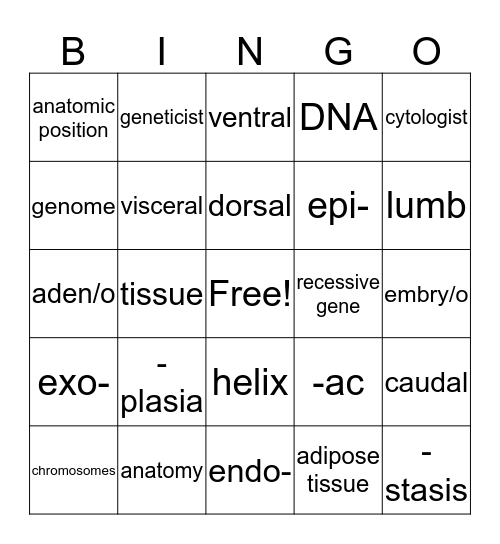 Chapter 2  Bingo Card