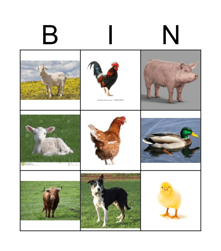 Farm Animals Bingo Card