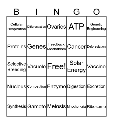 Regents Review Bingo Card