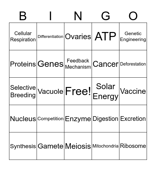 Regents Review Bingo Card