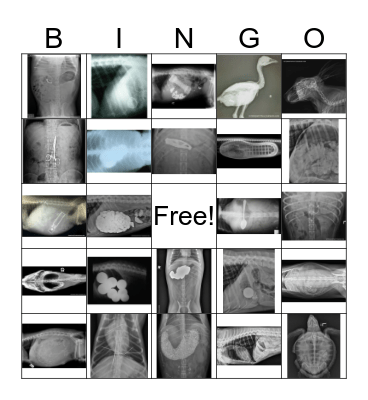Foreign Body Radiograph Bingo Card