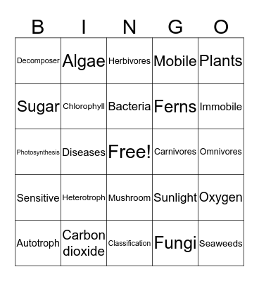 Science Vocabulary Bingo Card