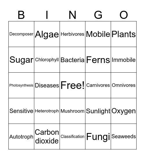 Science Vocabulary Bingo Card