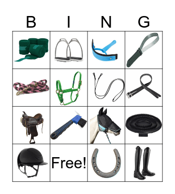 Horse Tack Bingo  Bingo Card