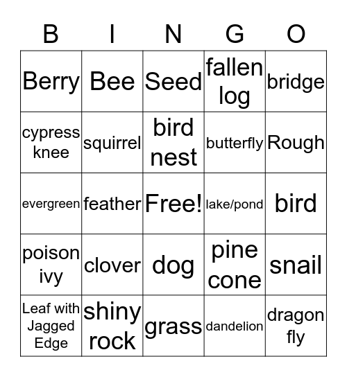 N  A  T  U  R  E Bingo Card