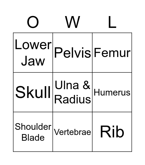 Owl Pellet Bingo Card