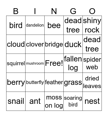 N a t u r e   W a l k  Bingo Card