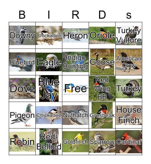 Birds Bingo Card