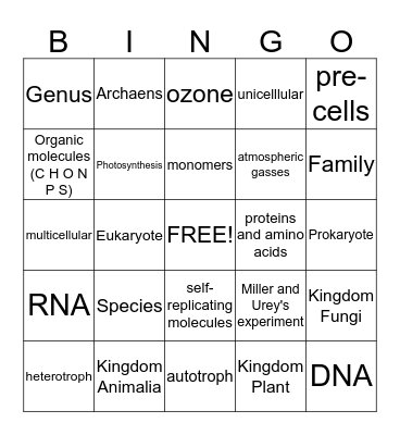 Life  Bingo Card