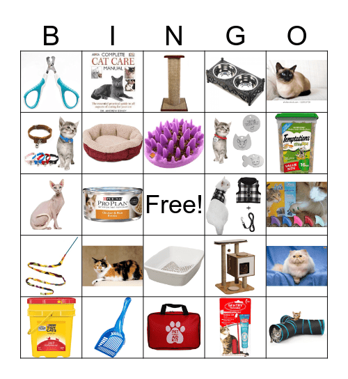 Cat Care Bingo  Bingo Card