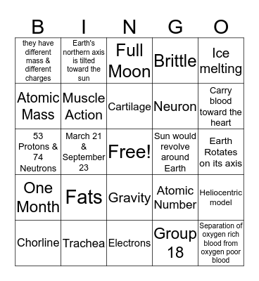 Final Exam Review Bingo Card