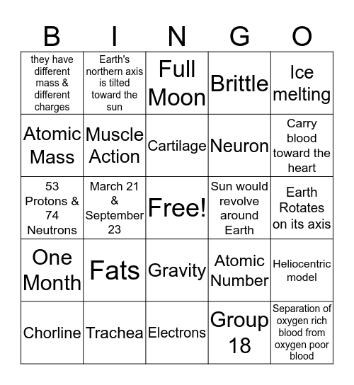 Final Exam Review Bingo Card