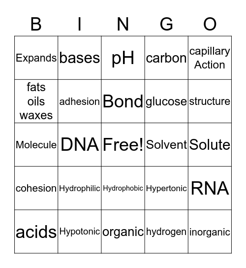 Macromolecule/Water Properties Bingo Card