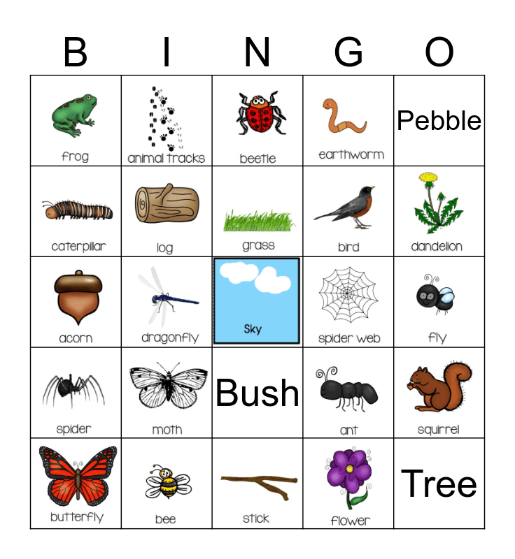 God Created the World Bingo Card