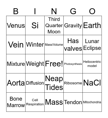 Final Review Bingo Card