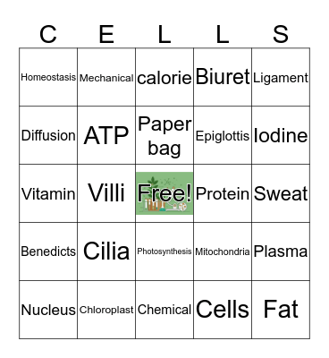 Life Science Review Bingo Card