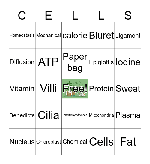 Life Science Review Bingo Card