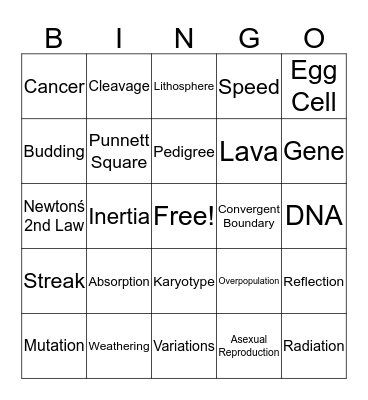 Science 8 Final Review Bingo Card