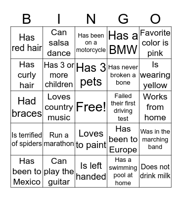 Icebreaker BINGO Card