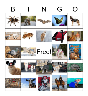 Working Animal Bingo Card
