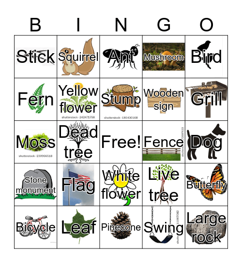 Bingo in the Park Bingo Card