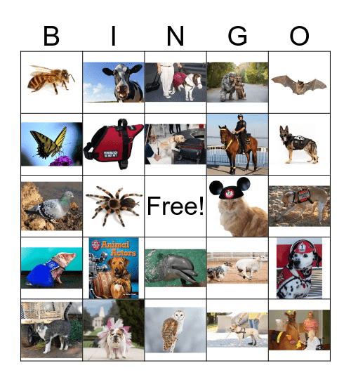 Animals with Jobs Bingo Card